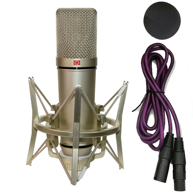 Micrófono condensador profesio - Ribbon Microphone reseña y precio
