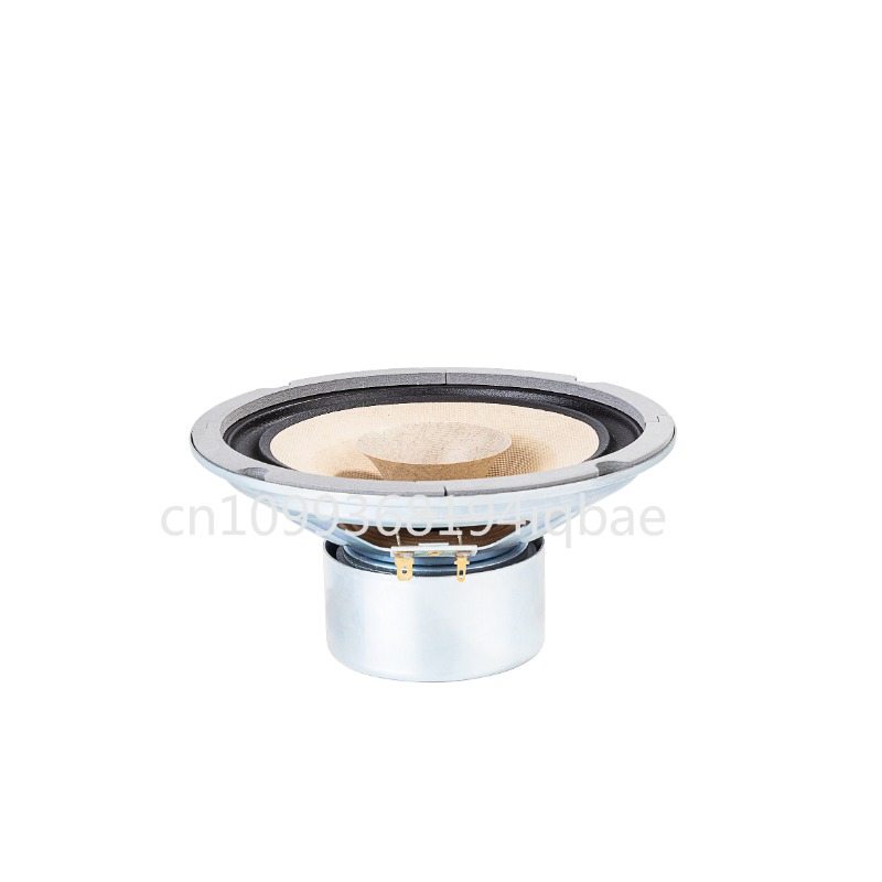 Un par de altavoces HiFi de ra - Diy Speaker reseña y precio