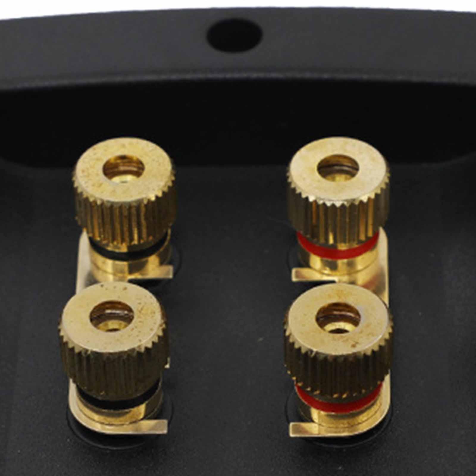 Terminales de cable de altavoz - Speaker Terminal reseña y precio